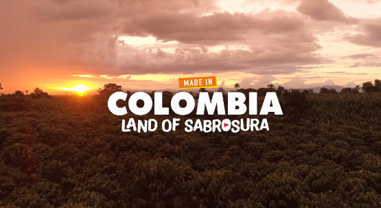 Pro Colombia / Finca la Morelia – Documentary